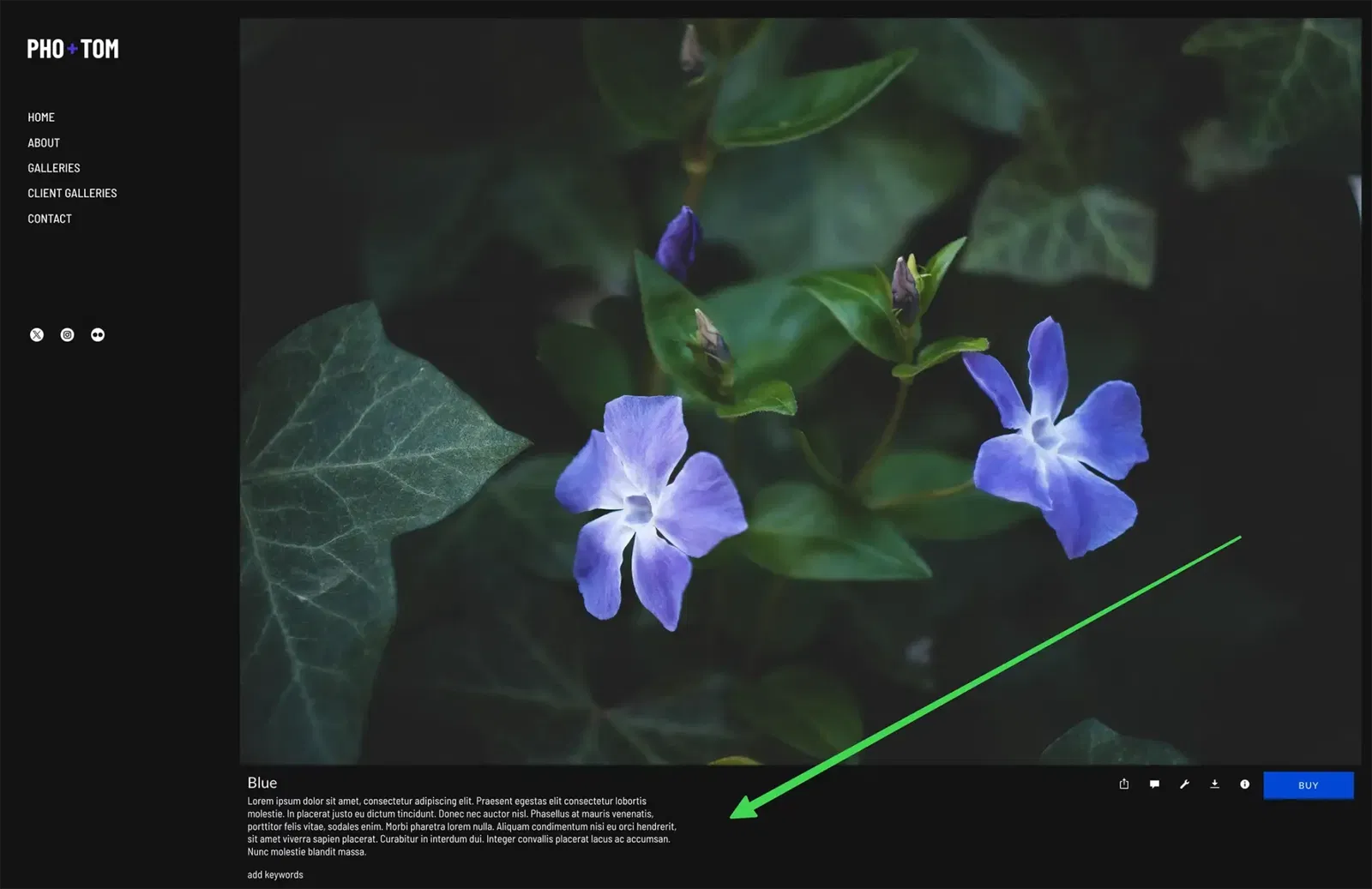 SmugMug Journal Gallery Style - truncated text.